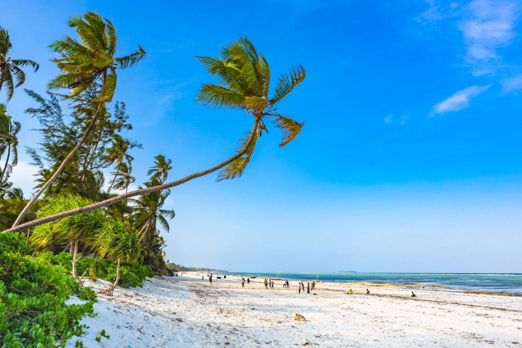 Matemwe Beach – The Under-the-Radar Gem