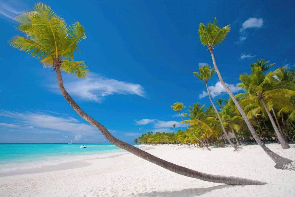 Nungwi Beach – The Lively Jewel of the North