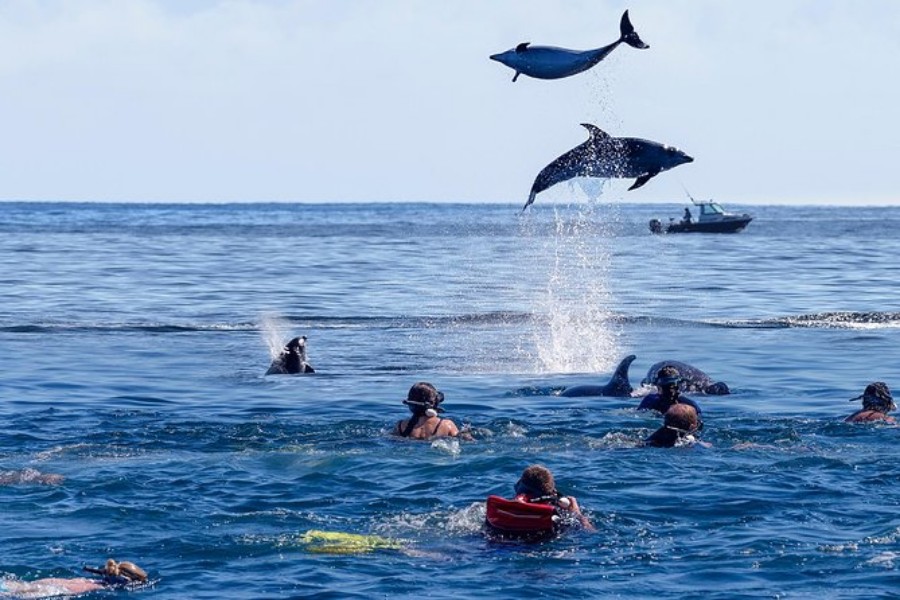 Kizimkazi – The Dolphin Watching Spot