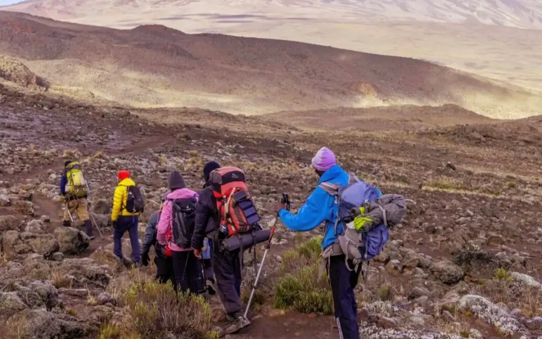 6 Days Machame Route