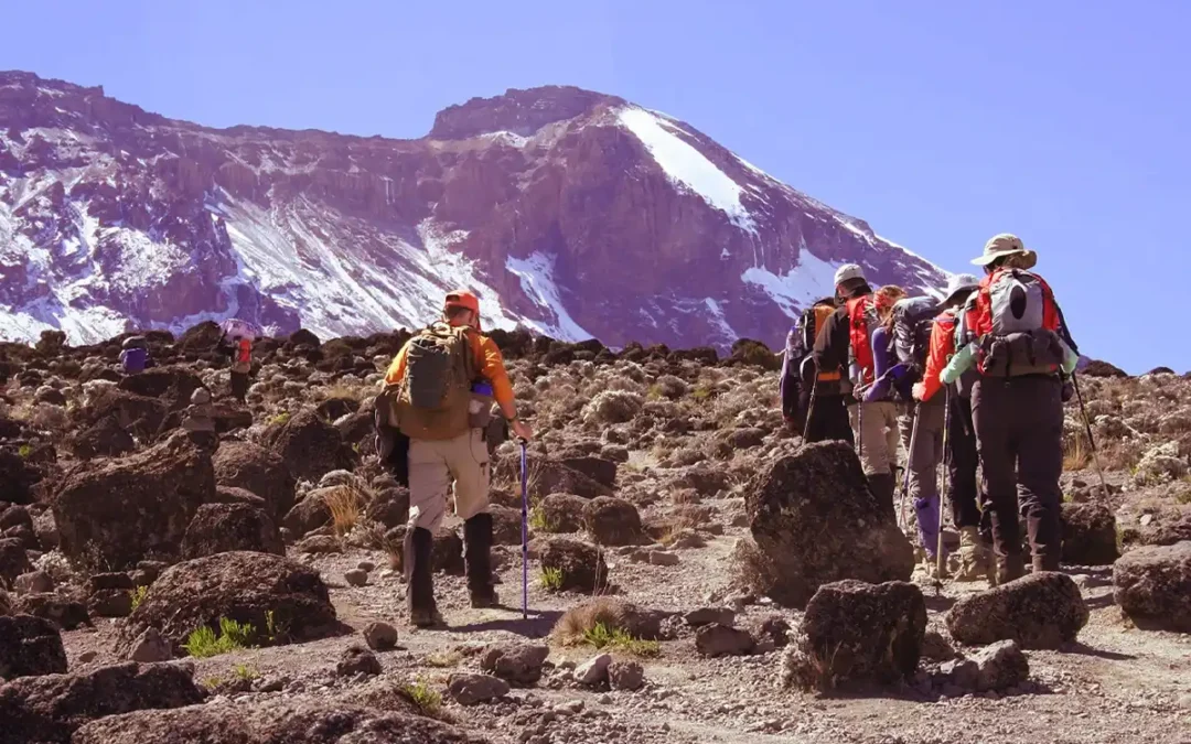 6 Days Marangu route