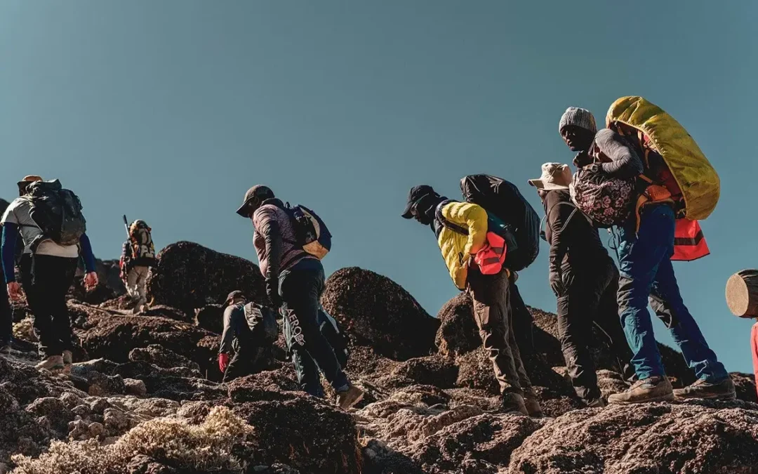 8 Days Lemosho Route