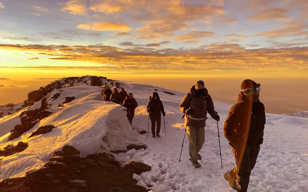 7 Days Machame Route
