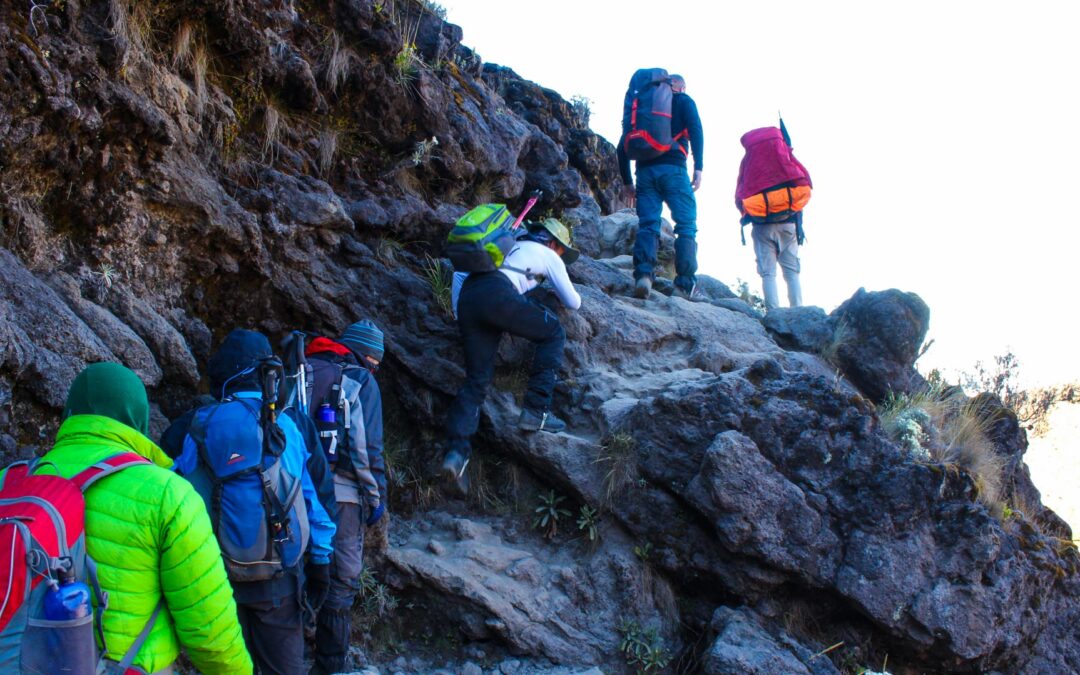6 Days Rongai Route