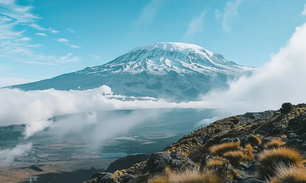 Mount Kilimanjaro Acclimatization Guide